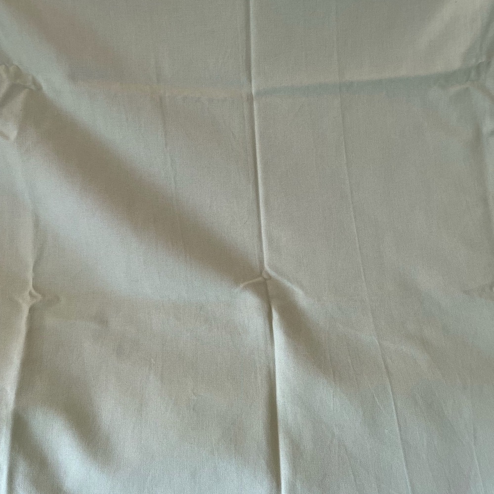 Pottery Barn 2 light green cotton drapery panels